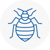 Bed Bug Extermination In Saffron Walden